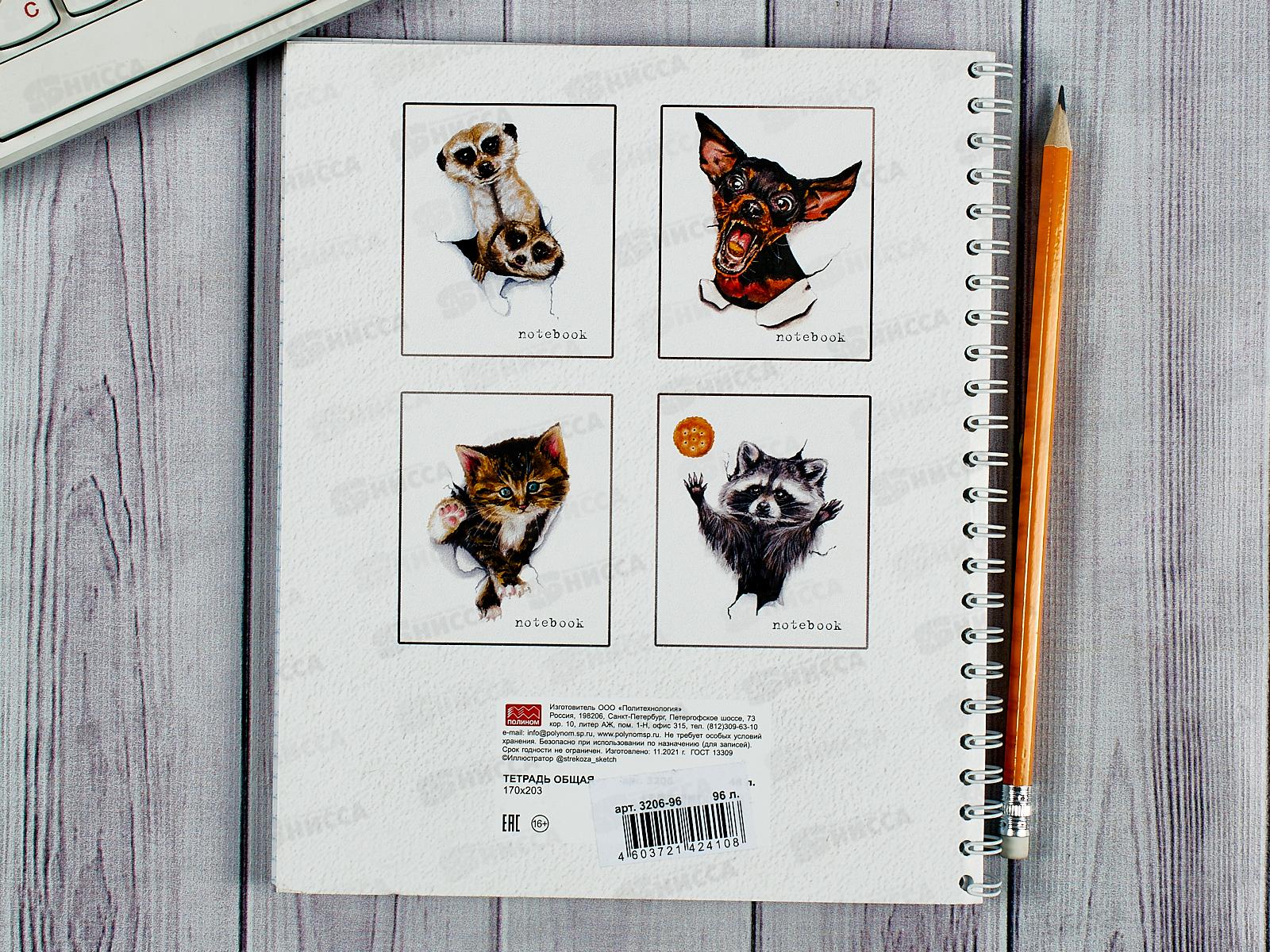 Тетрадь 96листов клетка  ПЛН Hi there, мет.греб., 3206-96 *20