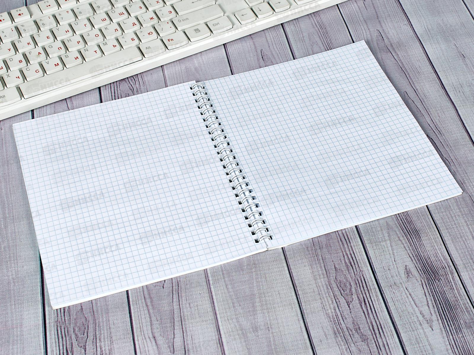 Тетрадь 48л кл. ПЛН Питерские скетчи, асс., греб., 3018-48  *30