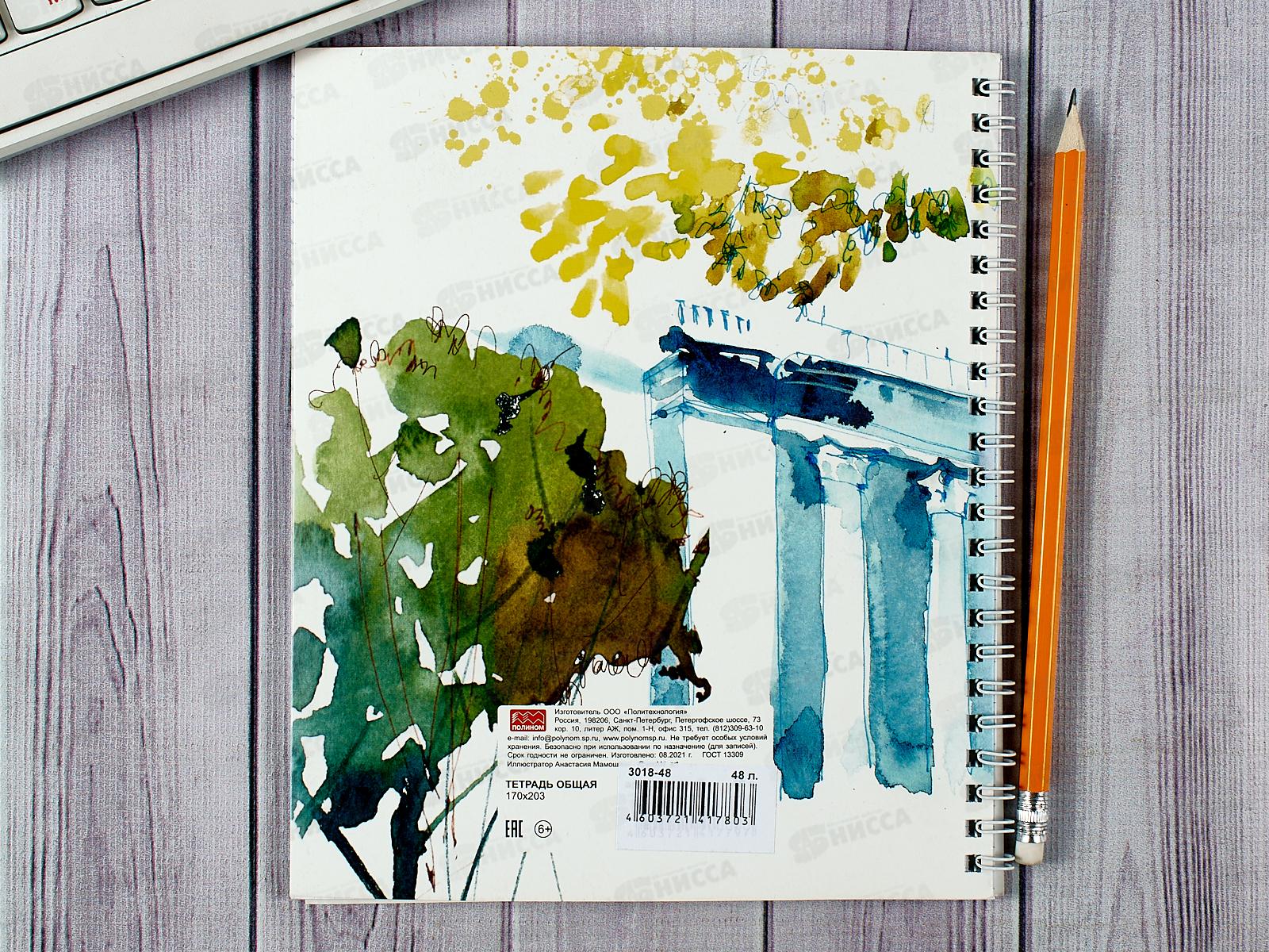 Тетрадь 48л кл. ПЛН Питерские скетчи, асс., греб., 3018-48  *30