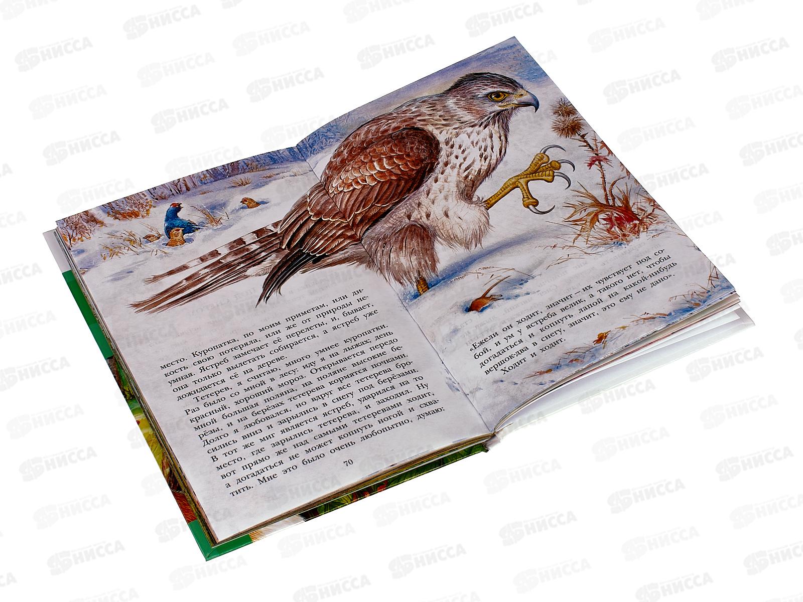 Книга АСТ Лисичкин хлеб, Пришвин М.М., 5896-9  *32