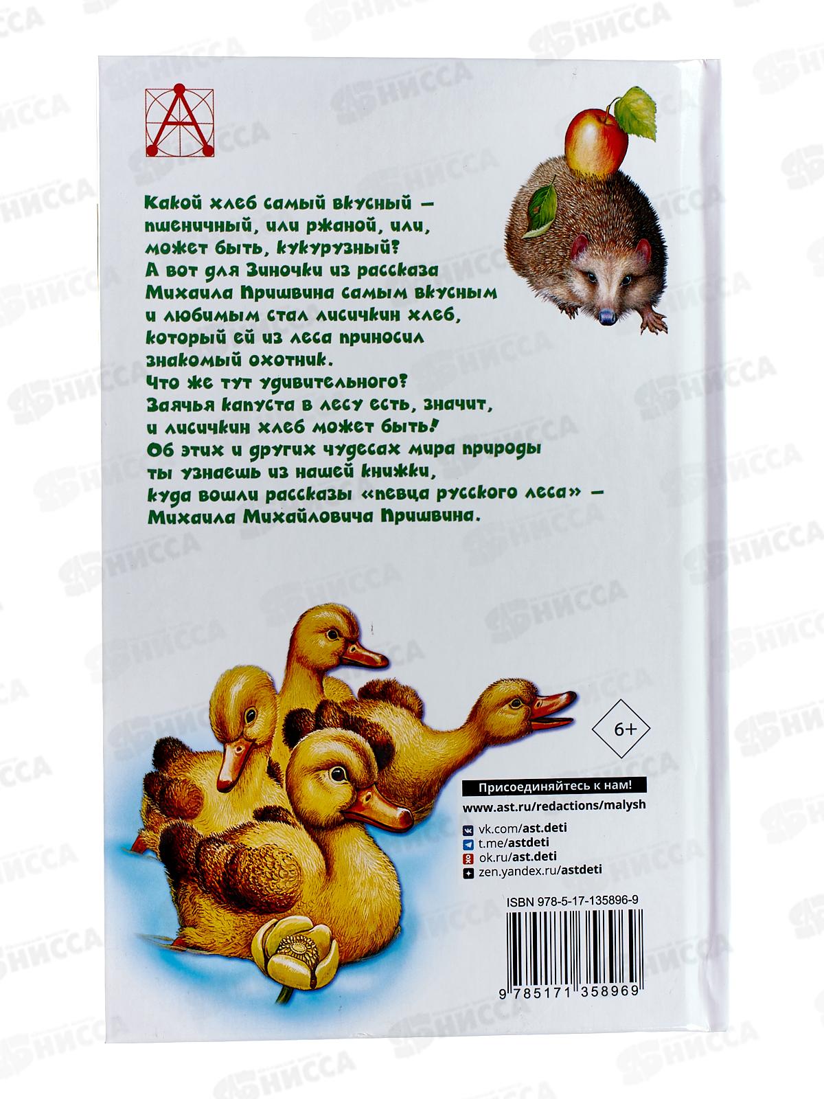 Книга АСТ Лисичкин хлеб, Пришвин М.М., 5896-9  *32