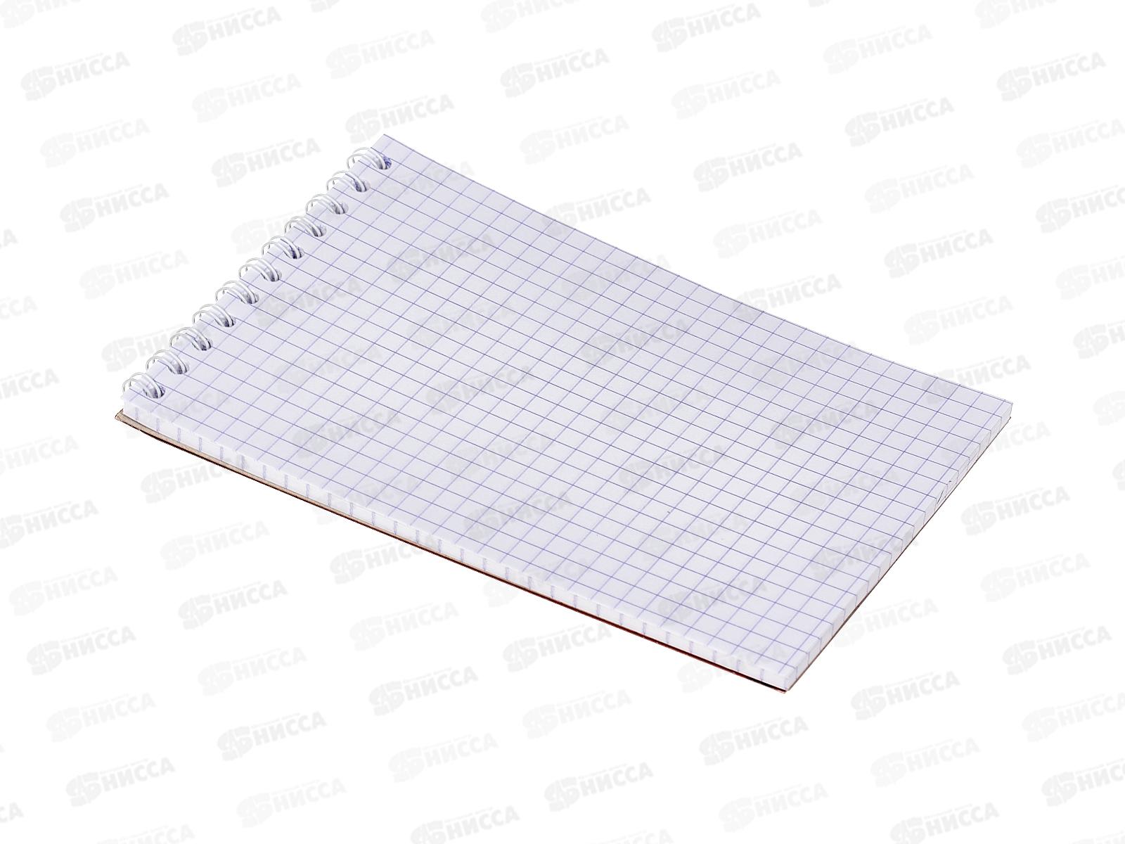 Блокнот 48л ПГС Аниме 100*150, греб. *12/120