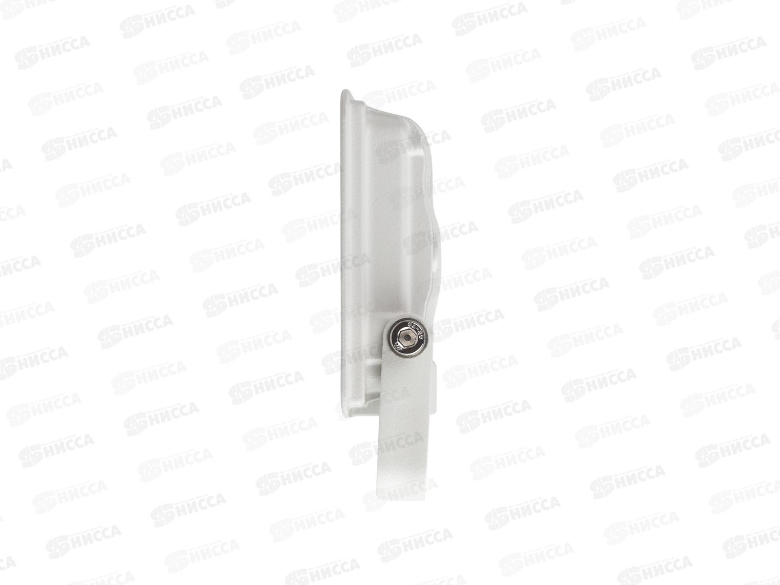 Прожектор светодиодный ЭРА LPR-023-W-65K-030 30Вт 6500К 2400Лм IP65 белый  *20