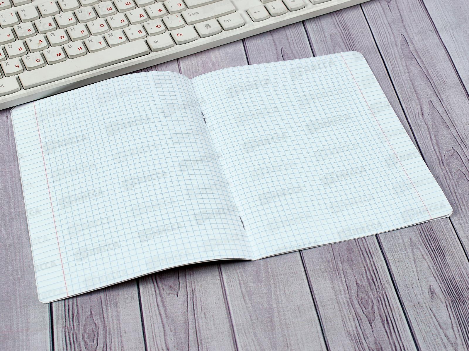 Тетрадь 12листов клетка АЛЬТ Удивительные котята,7-12-475/1*10/220