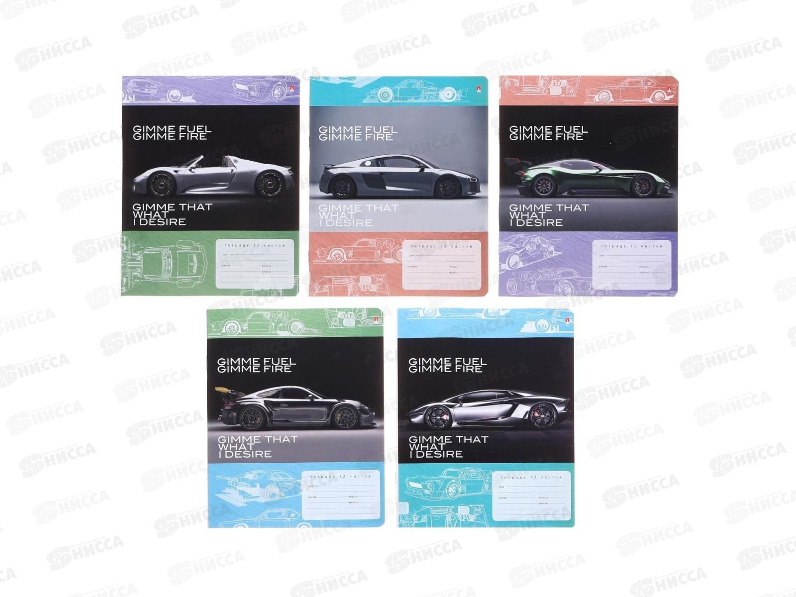 Тетрадь 12листов клетка АЛЬТ Форсаж,7-12-474/1*10/220