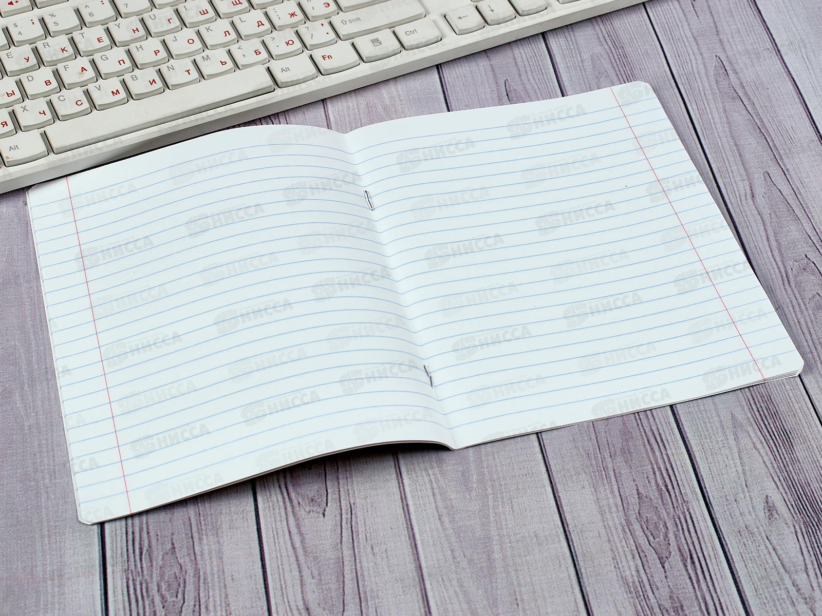 Тетрадь 12листов линия АЛЬТ Форсаж,7-12-474/2*10/220