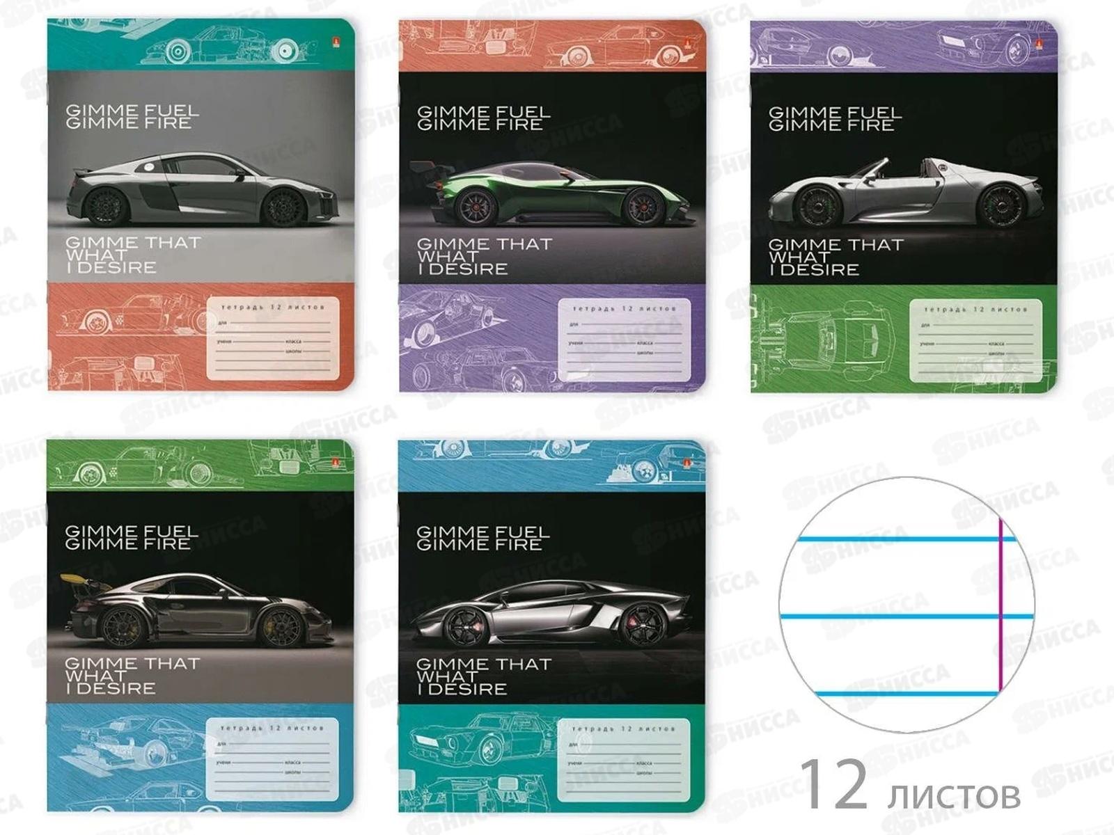 Тетрадь 12листов линия АЛЬТ Форсаж,7-12-474/2*10/220