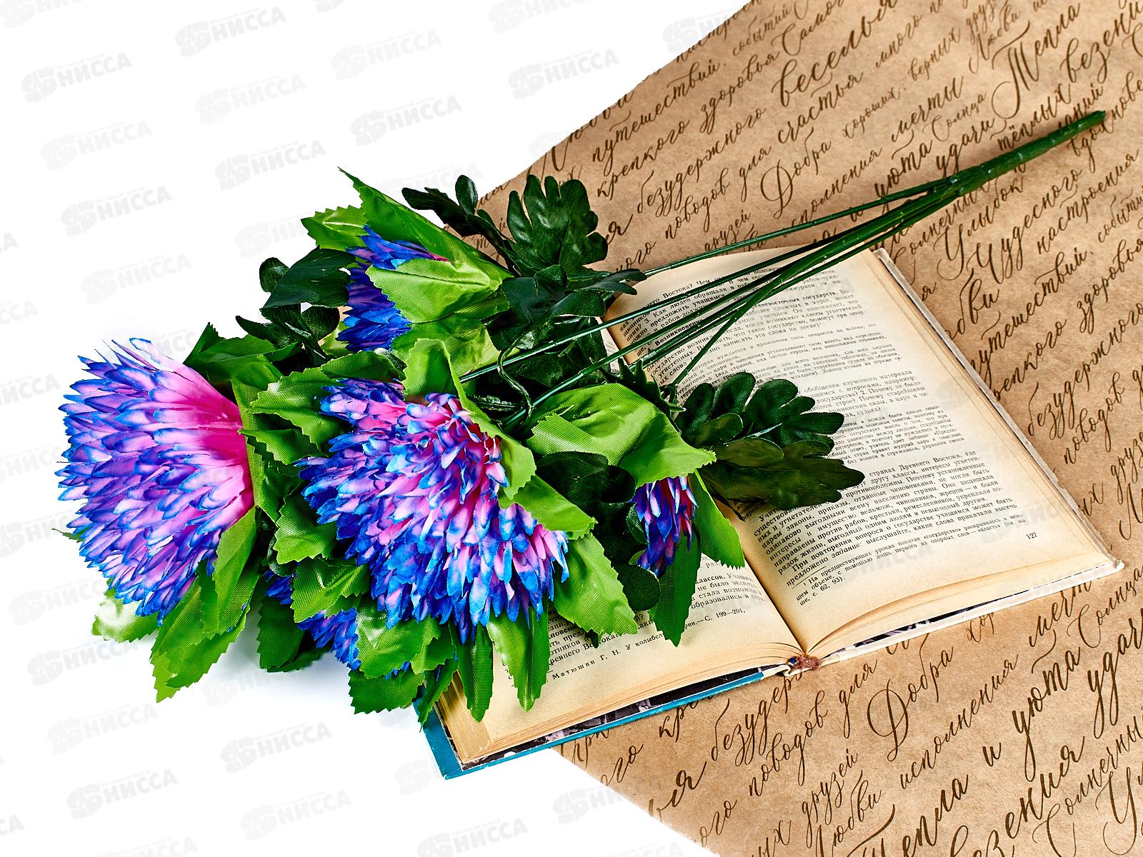 Букет астр 6голов 60см микс А-27 *1*20