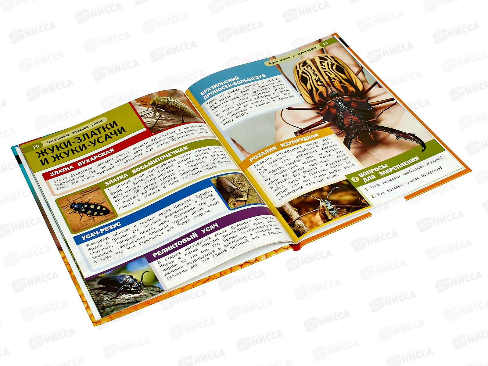Энциклопедия 08165-4 Умка: Насекомые Красной книги. В.Н. Алексеева *15