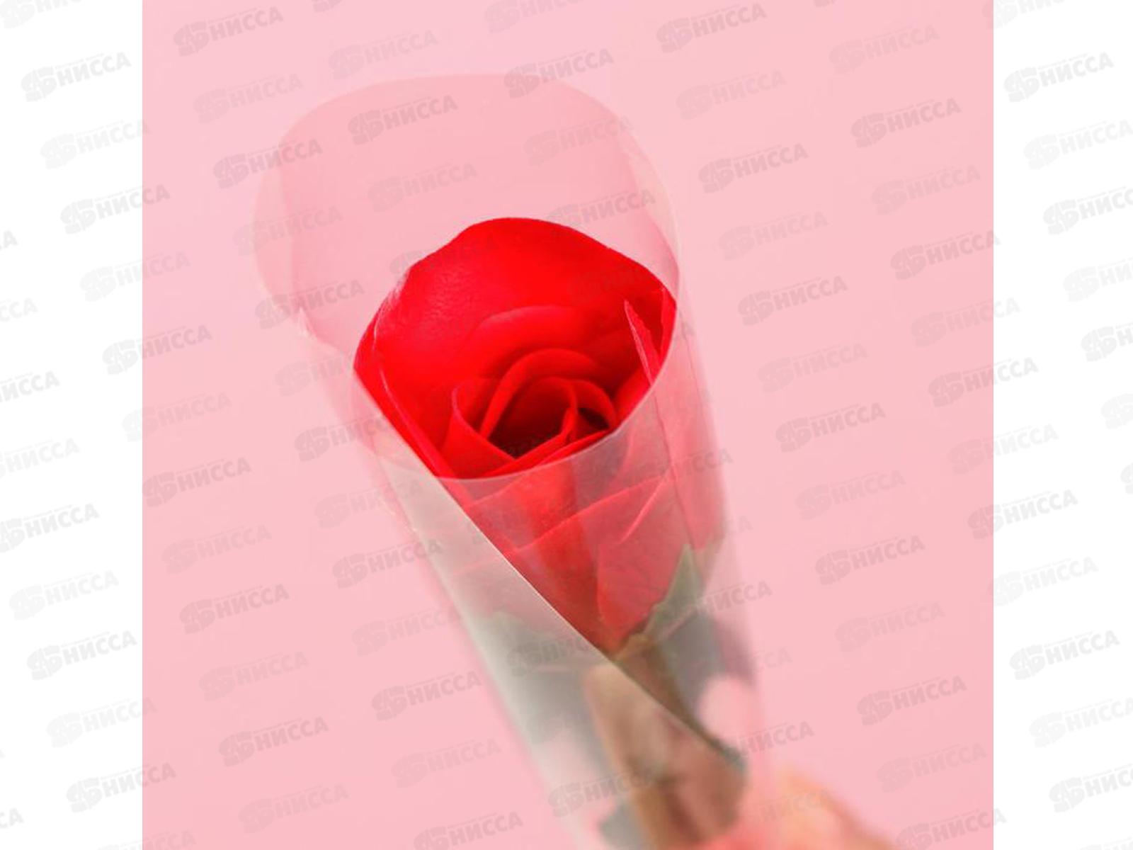 Мыльная роза красная на стебле 6962332