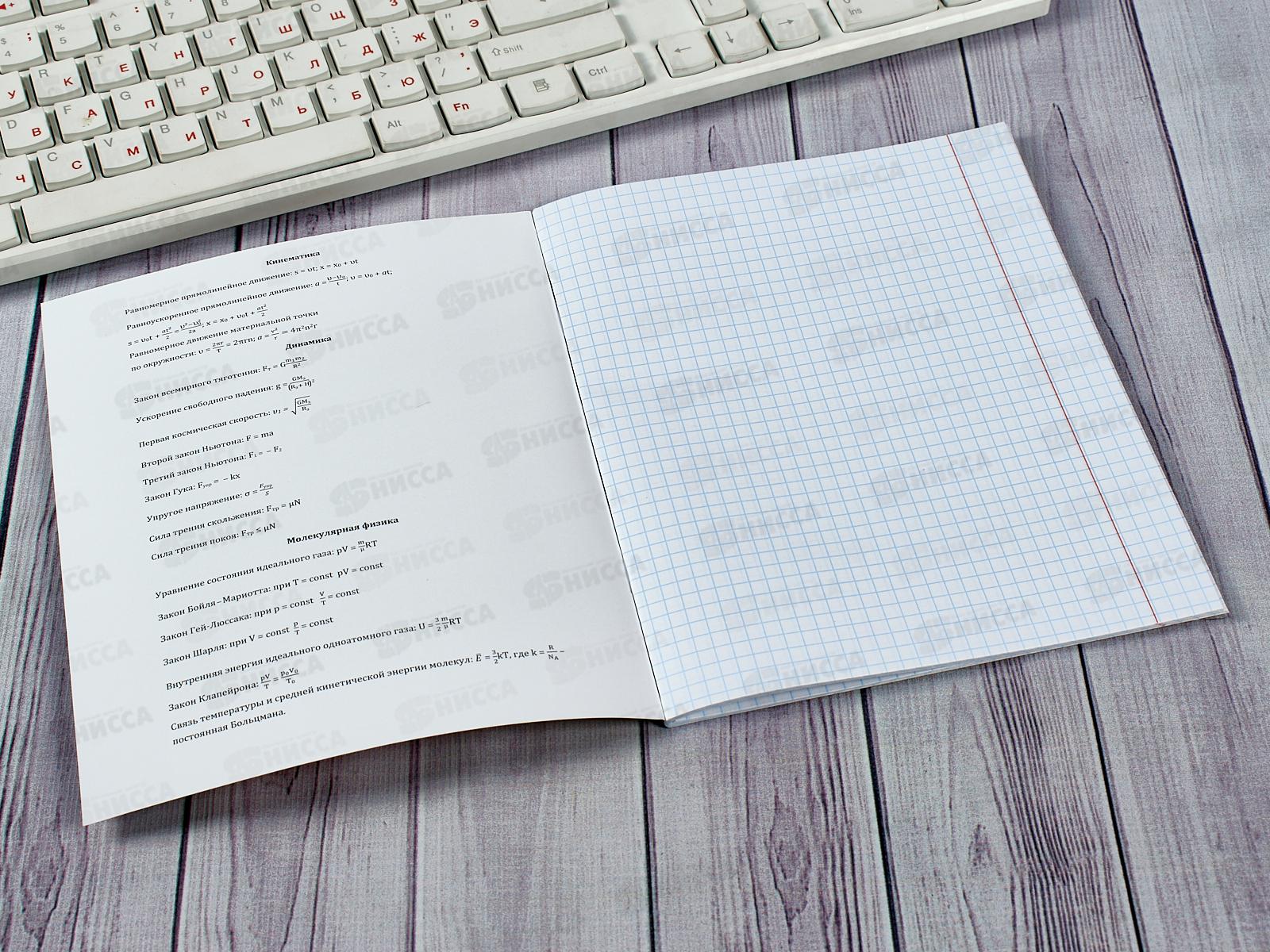 Тетрадь 48листов клетка ПП &quotАНИМЕ&quot Физика, холодная фольга, 48-9426 *10/80