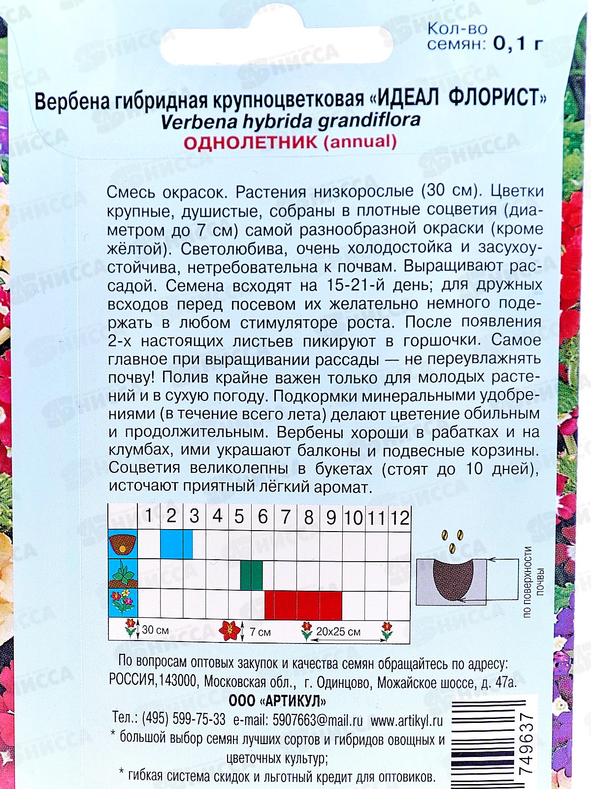 Вербена Идеал Флорист гибр кр-цв 0,1г *10  АРТ