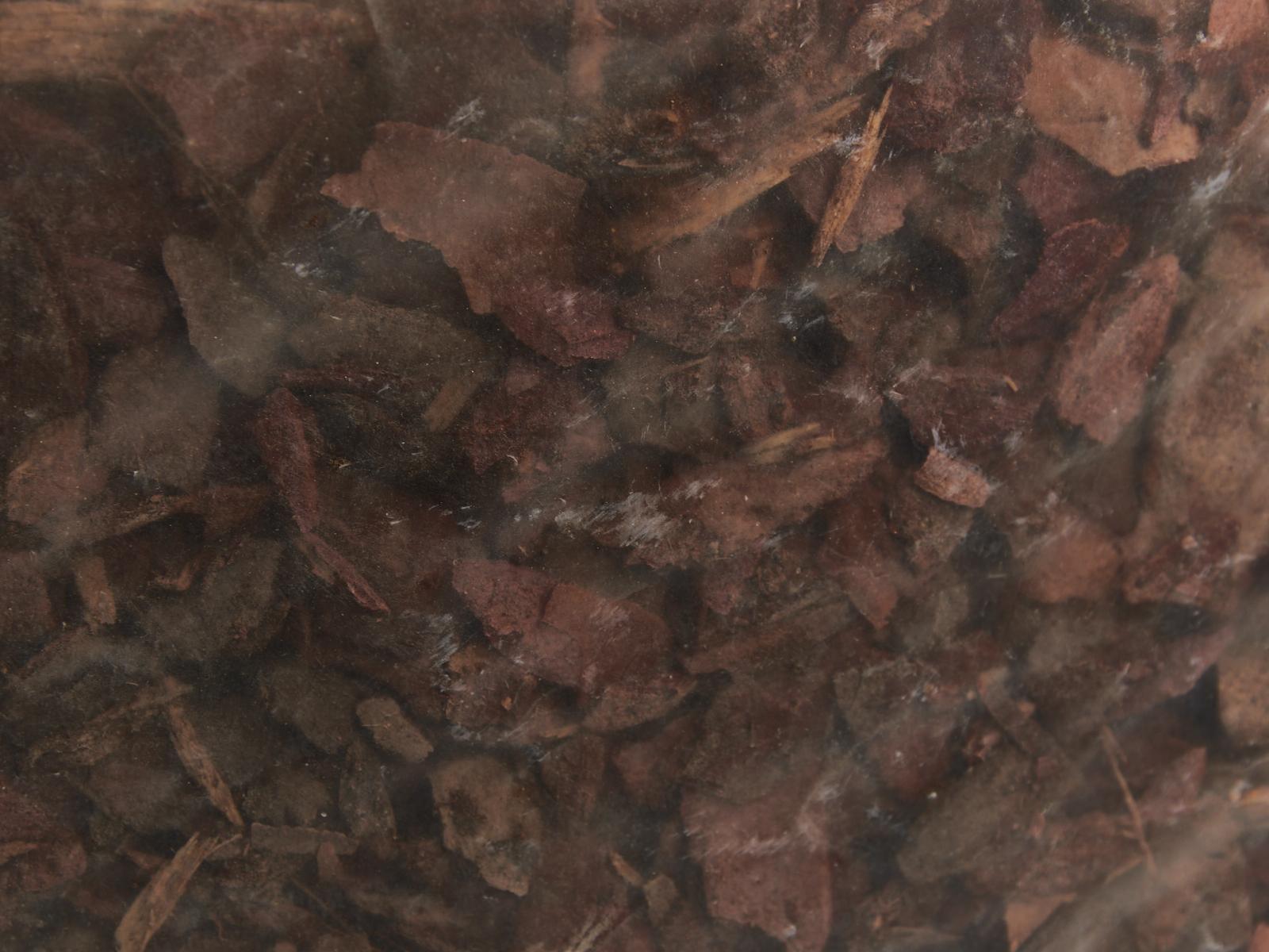 Кора сосновая 60л  Фазенда Сибири фр 1-5 *1