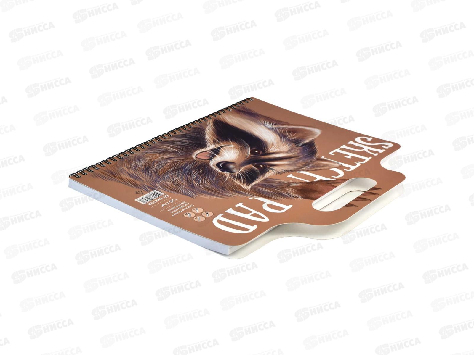 Скетчпад ФЕН 60листов Енот,59741*5/20