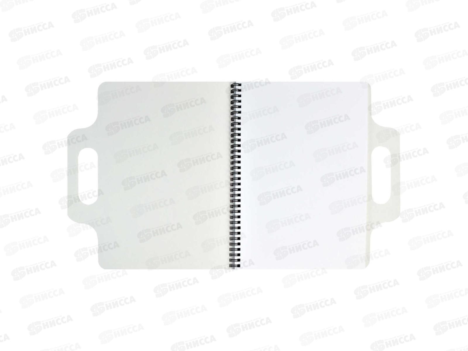 Скетчпад ФЕН 60листов Енот,59741*5/20