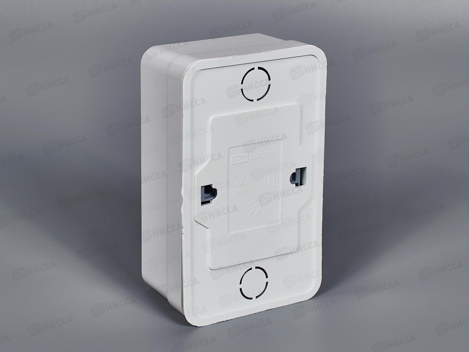 Розетка TDM двойная открытая установка с з/ш, IP20 16А белый &quotЛадога&quot, 0062 *10/160