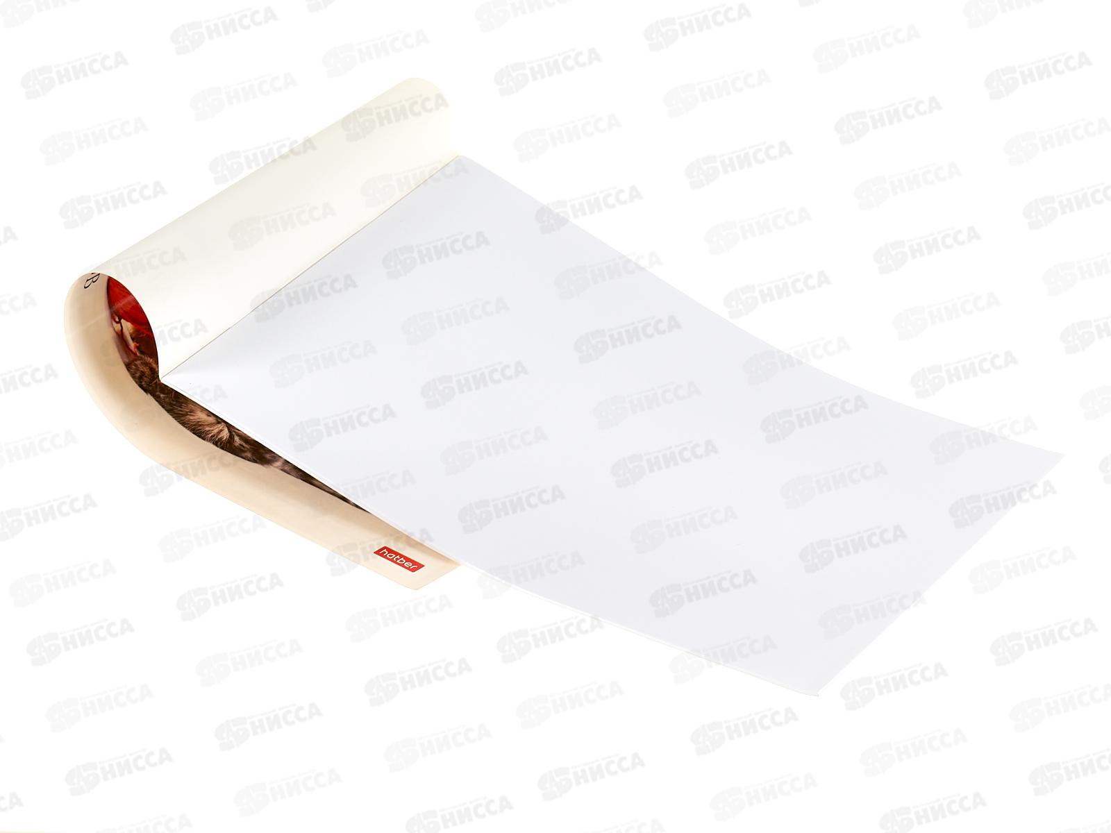 Альбом для рисования 12л Hatber Мы любим котиков*9/90