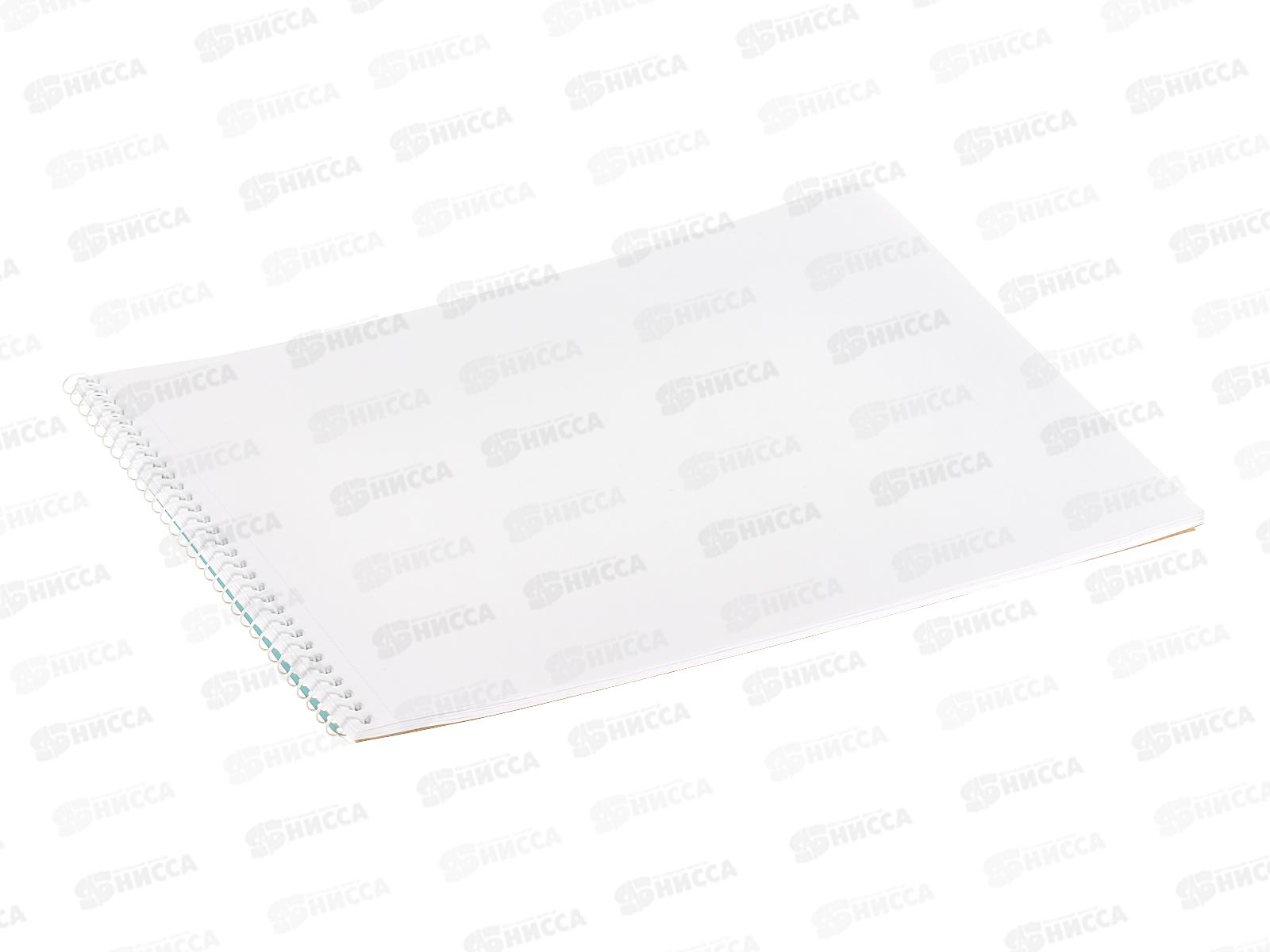 Альбом для рисования 24л Hatber Кот Борис,079771 *5/50