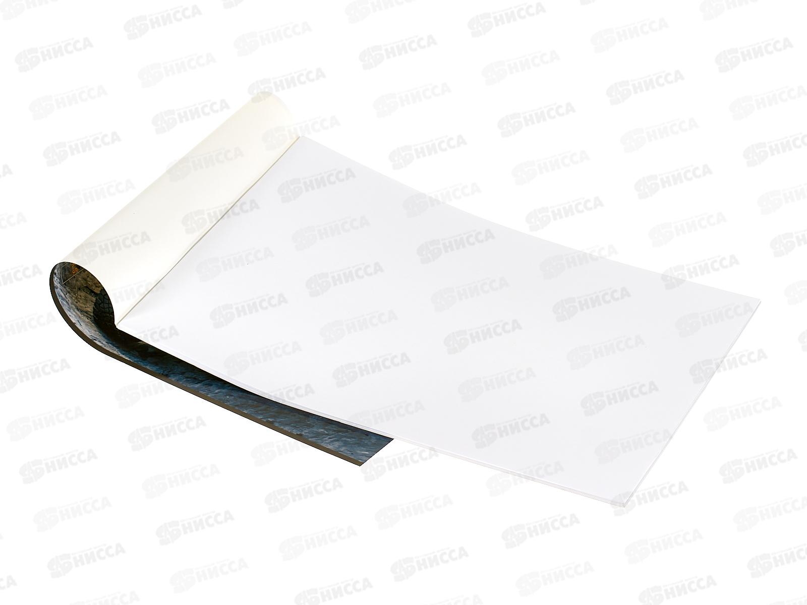 Альбом для рисования 20л Hatber Автотюнинг, асс *12/60