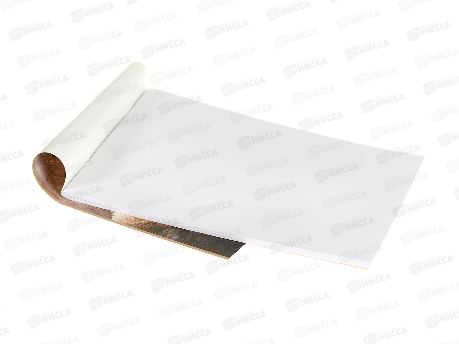 Альбом для рисования 48л Hatber Дикий мир,079735 *6/30