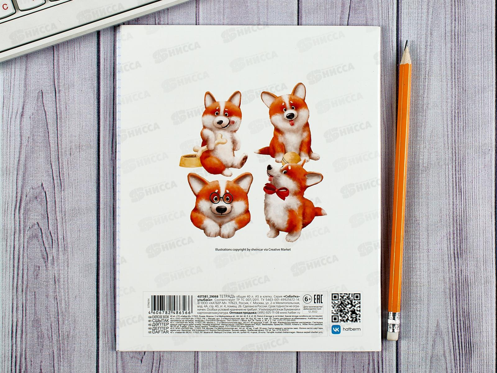 Тетрадь 40листов клетка  Hatber Собака-улыбака,079694 *10/100