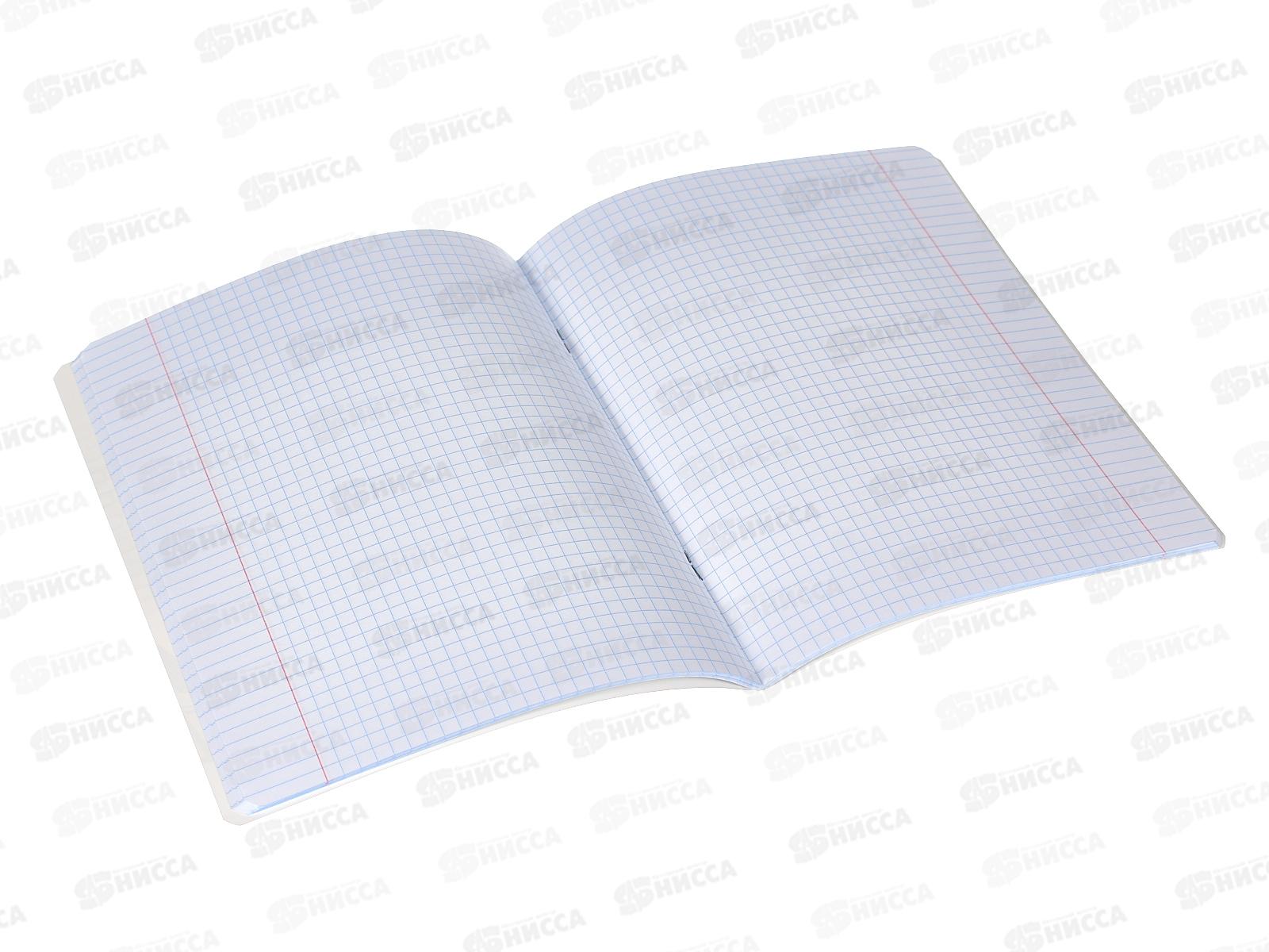 Тетрадь 48листов клетка . Hatber Нереально смелый,079129. *5/100