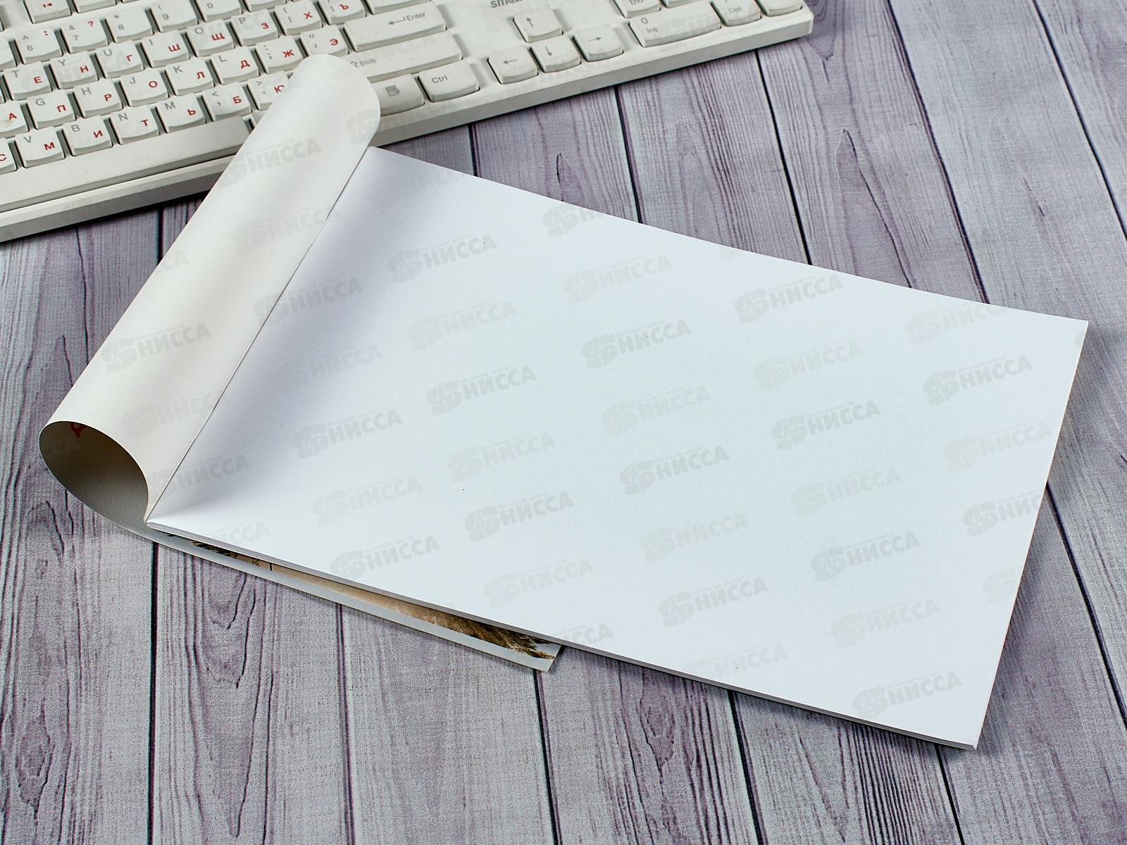 Альбом для рисования 24л Hatber Хорошо быть ёжиком,079721*11/55