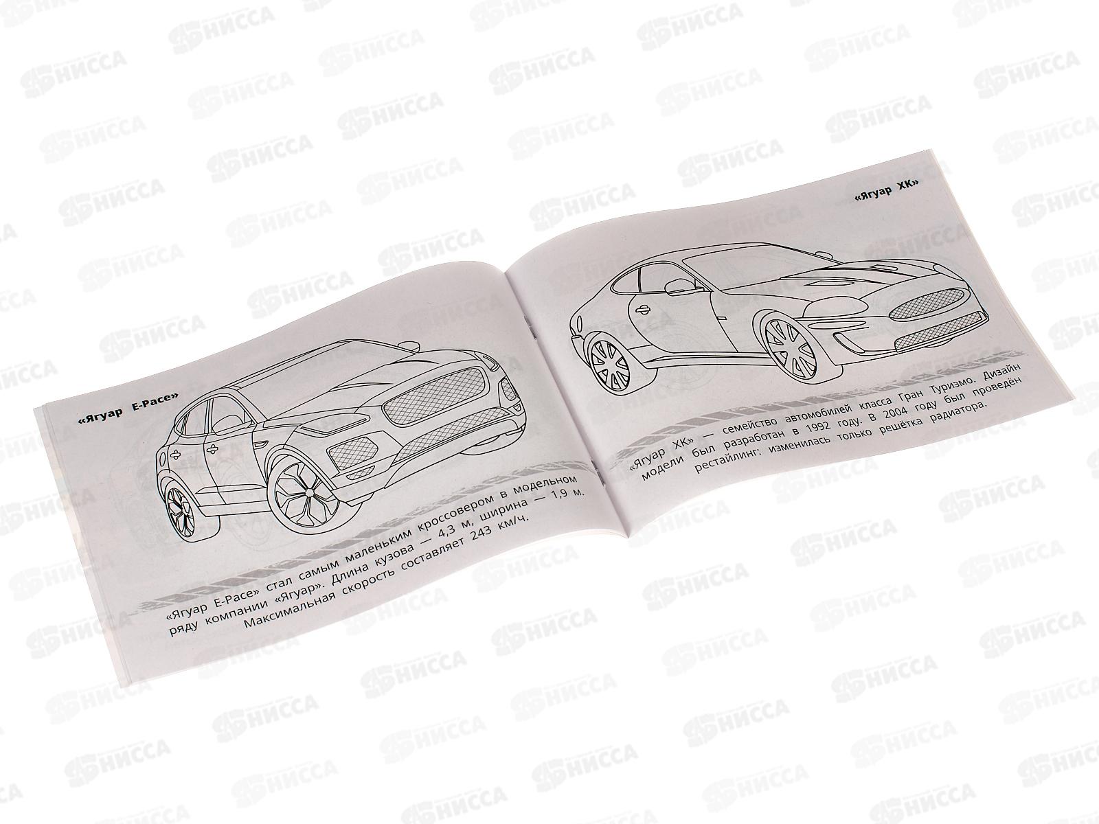 Раскраска &quotУМКА&quot 08307-8, Ягуар, 210х140мм, 8стр.  *100