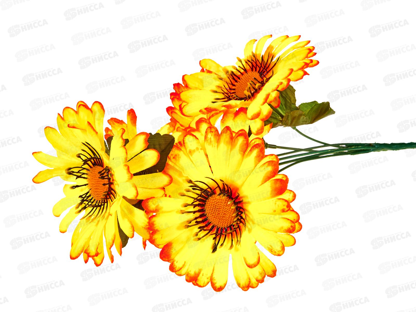 Букет астр 6голов 38см микс А-35 42488 *5/40