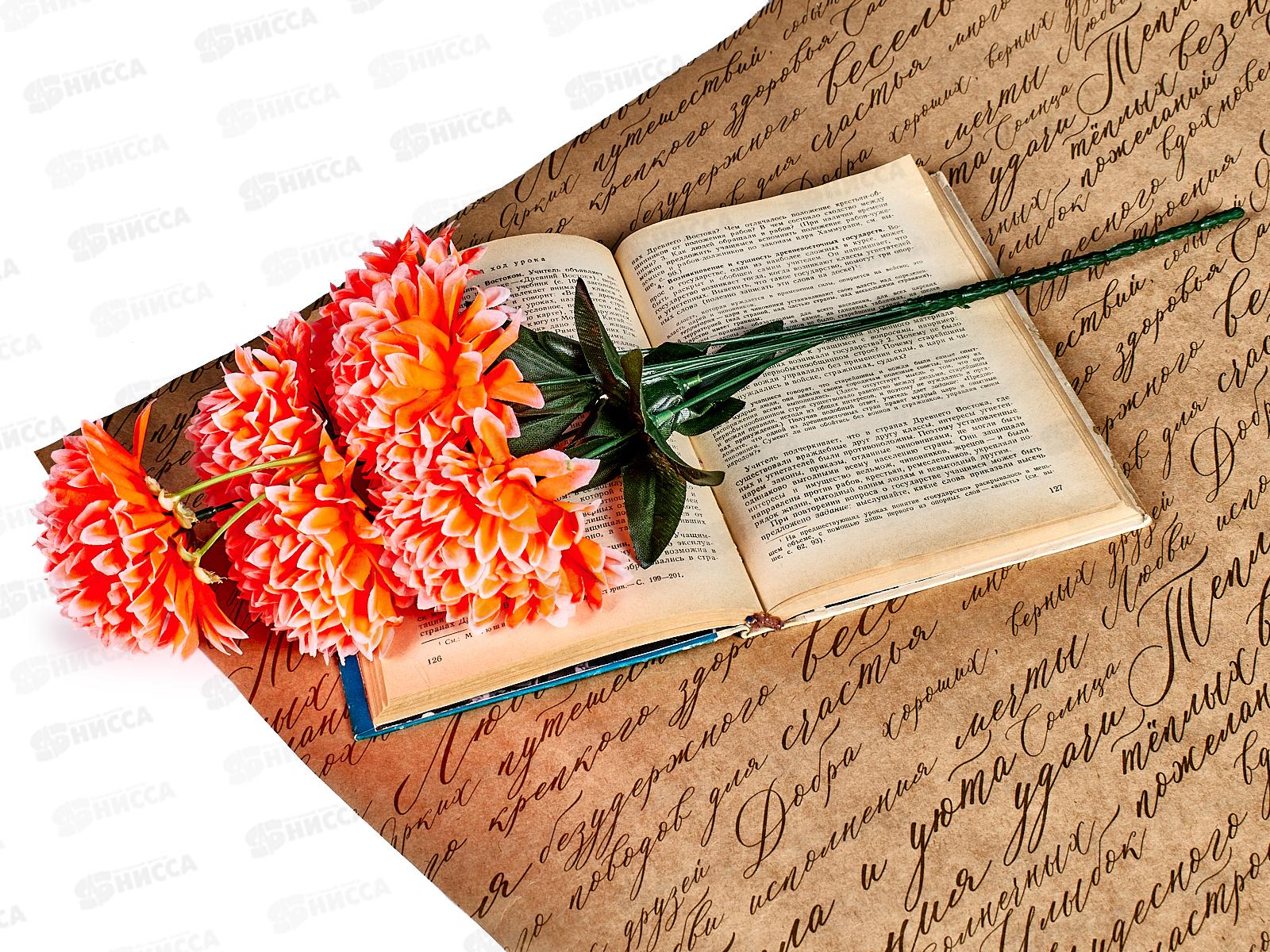 Букет Гвоздик 6голов №А-57  42491 *2/20