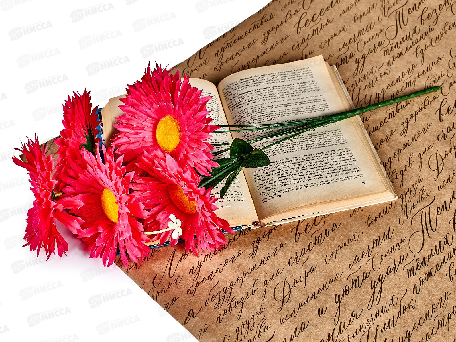 Букет маргаритки 6голов 50см микс 42497 *2/20