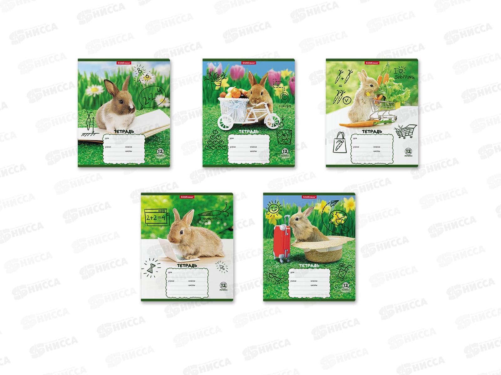 Тетрадь 12листов линия ПОЛИ Кролики,58246*10/280