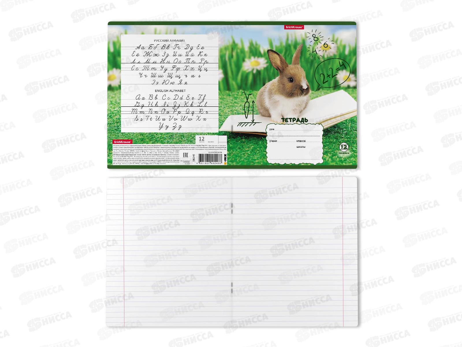 Тетрадь 12листов линия ПОЛИ Кролики,58246*10/280