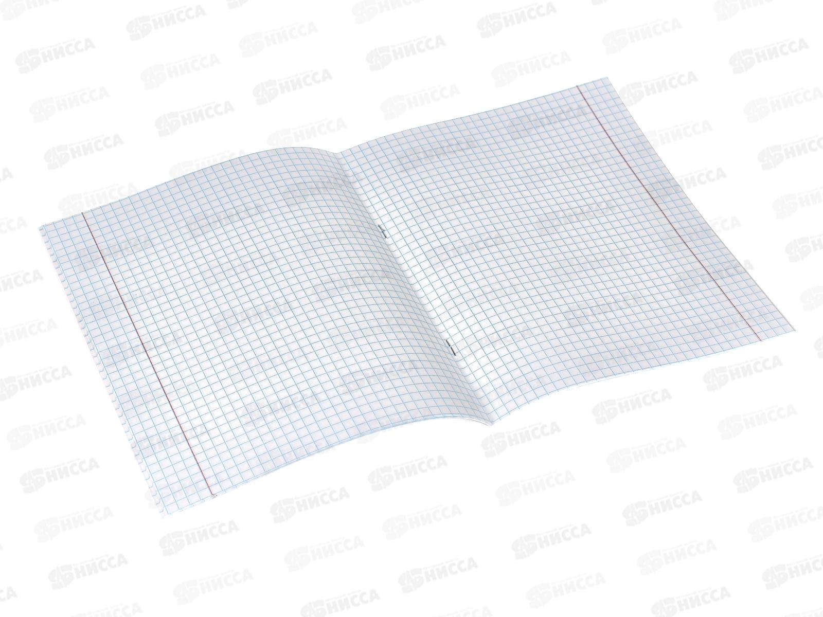 Тетрадь 24листа клетка ЭКСМ Зверята (универсальная плашка) ТК248303 *60