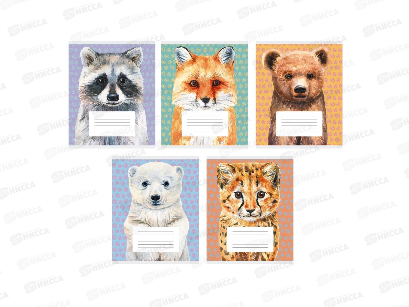 Тетрадь 24листа клетка ЭКСМ Зверята (универсальная плашка) ТК248303 *60