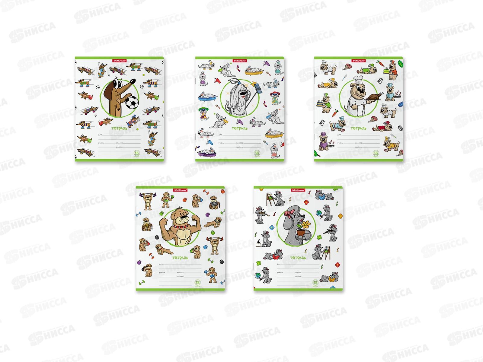 Тетрадь 18листов клетка ПОЛИ Busy Dogs, 54191*10/200