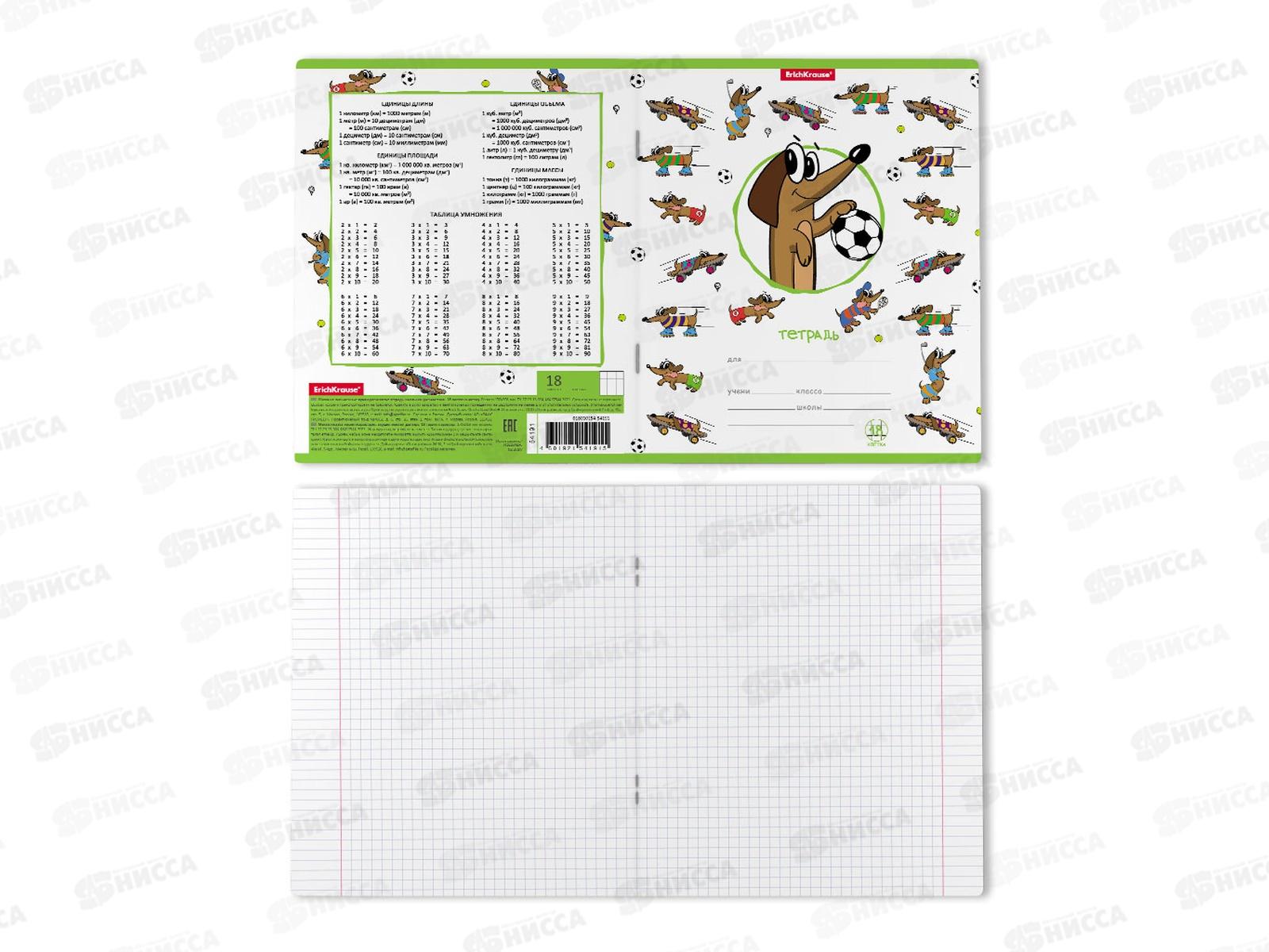 Тетрадь 18листов клетка ПОЛИ Busy Dogs, 54191*10/200