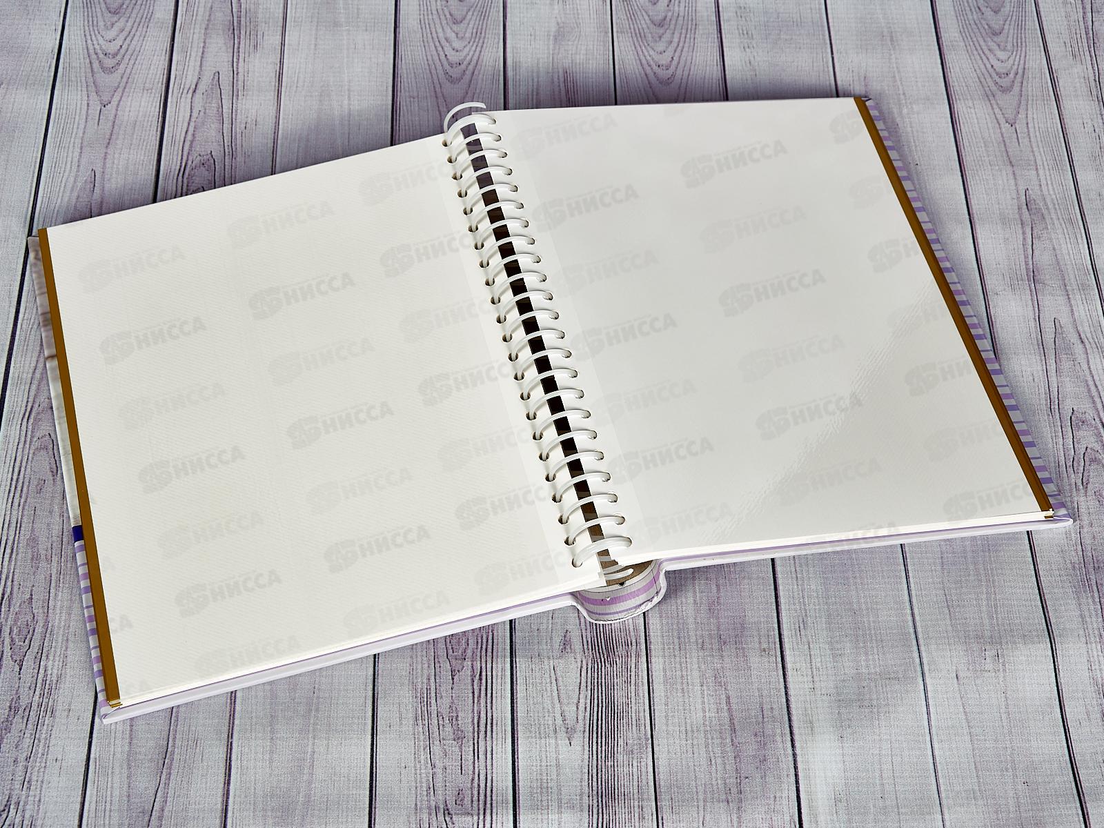 Фотоальбом PLATINUM 9820- 30л,Прованс магнитный*12