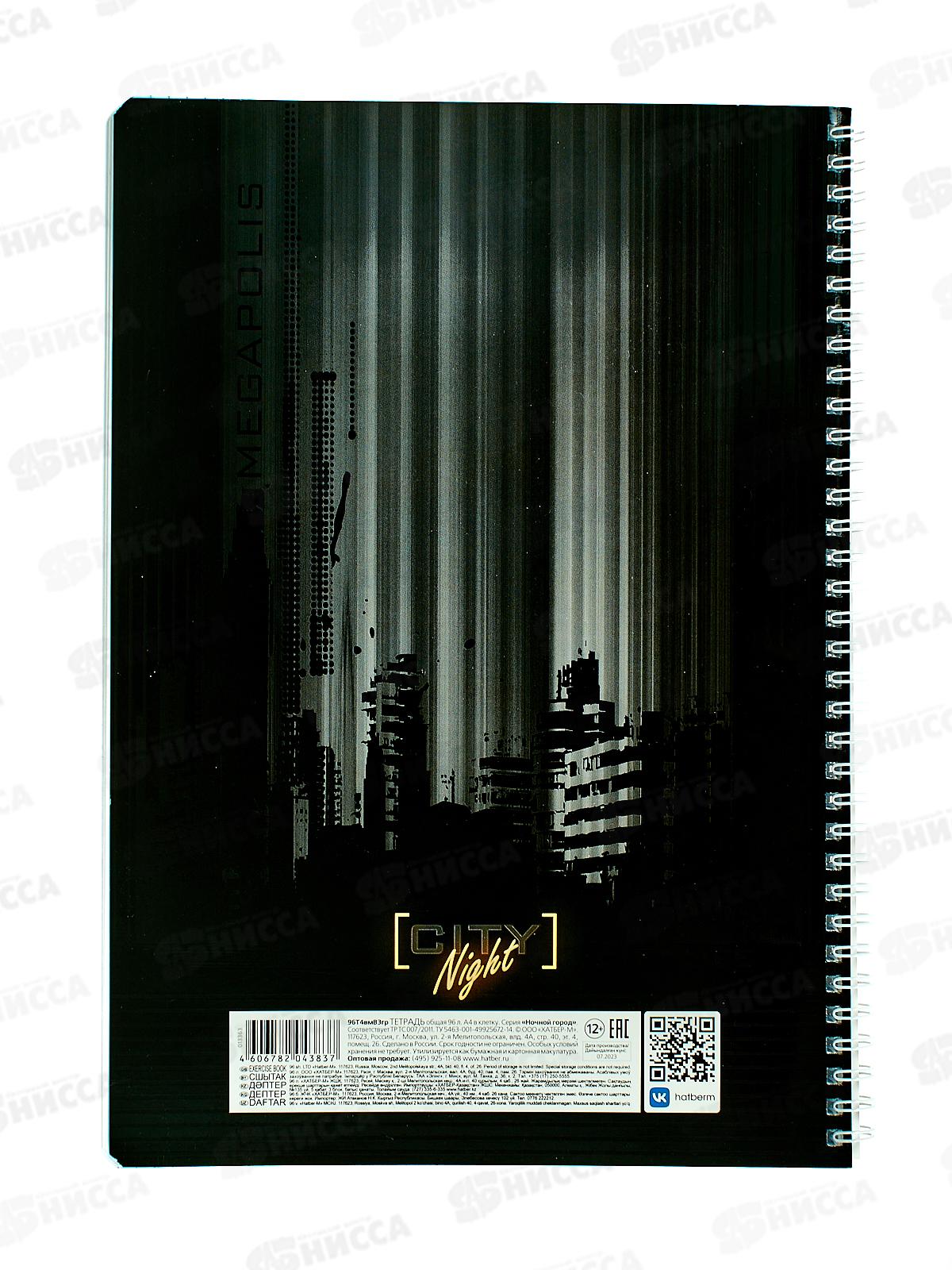 Тетрадь 96л кл. Hatber А4 Ночной город  гребень*4/24