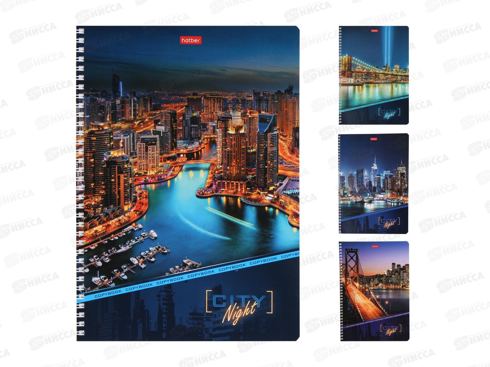 Тетрадь 96л кл. Hatber А4 Ночной город  гребень*4/24