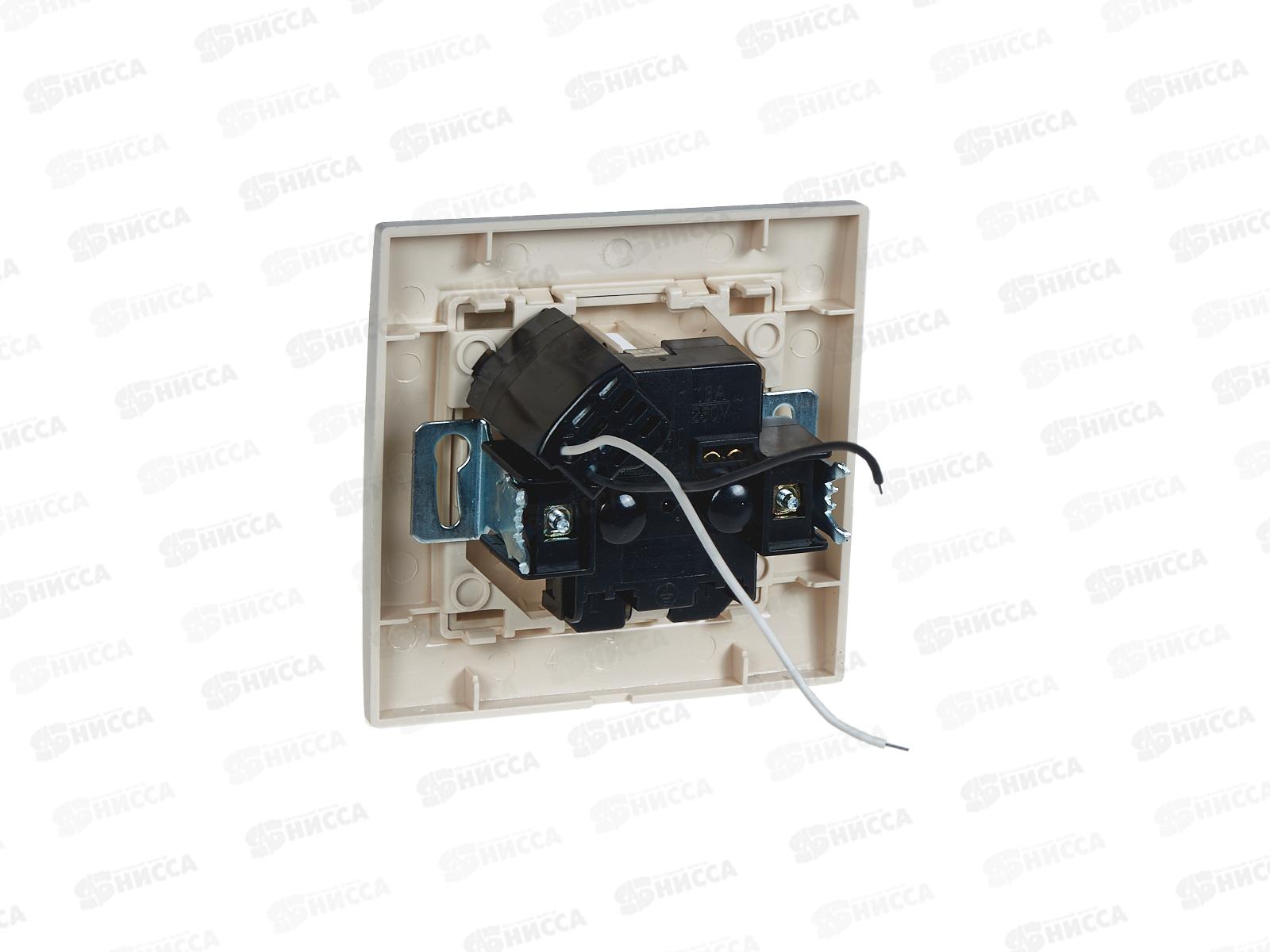 Розетка Эрна 1-местная, с заземлением, с защитной шторкой и с USB, PST16-9011-02, слоновая кость