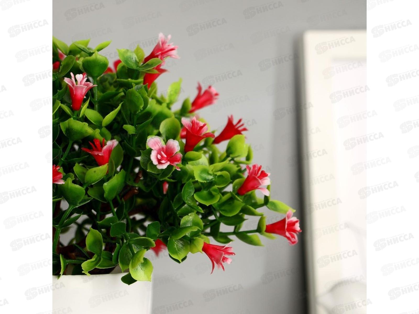 Бонсай в горшке &quotПримула галант&quot 17*19см микс 9222733