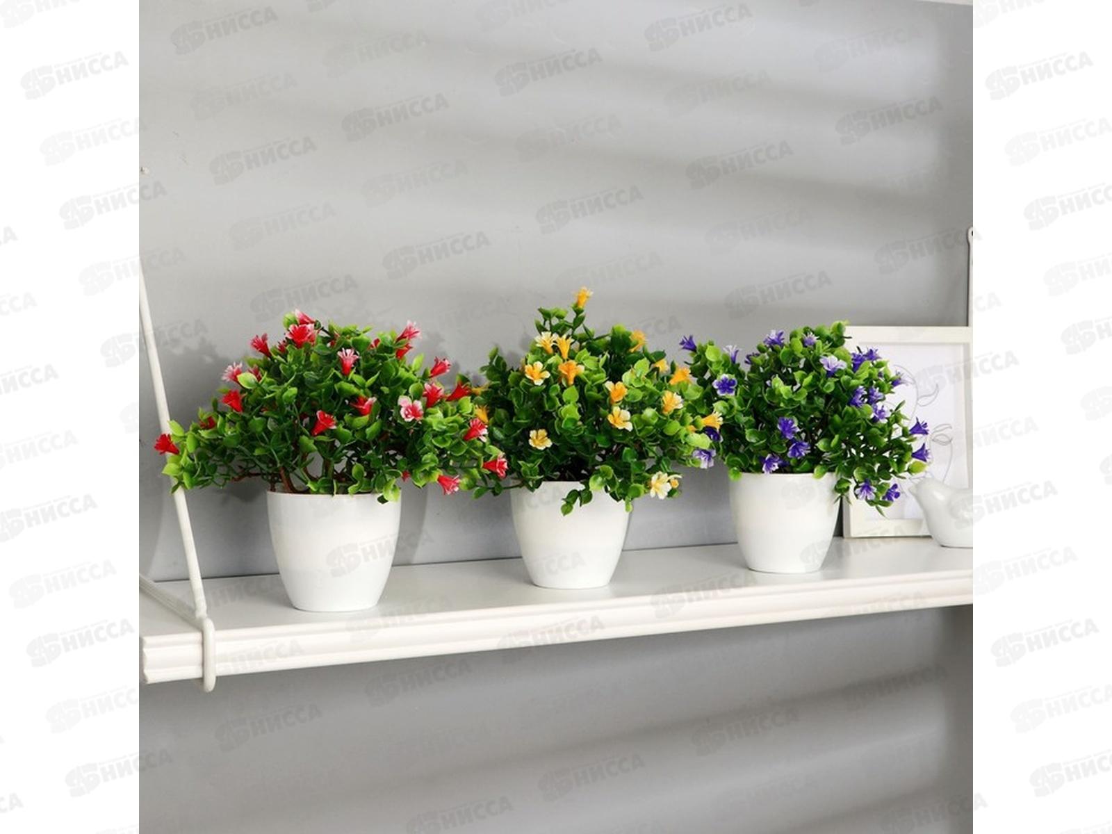 Бонсай в горшке &quotПримула галант&quot 17*19см микс 9222733