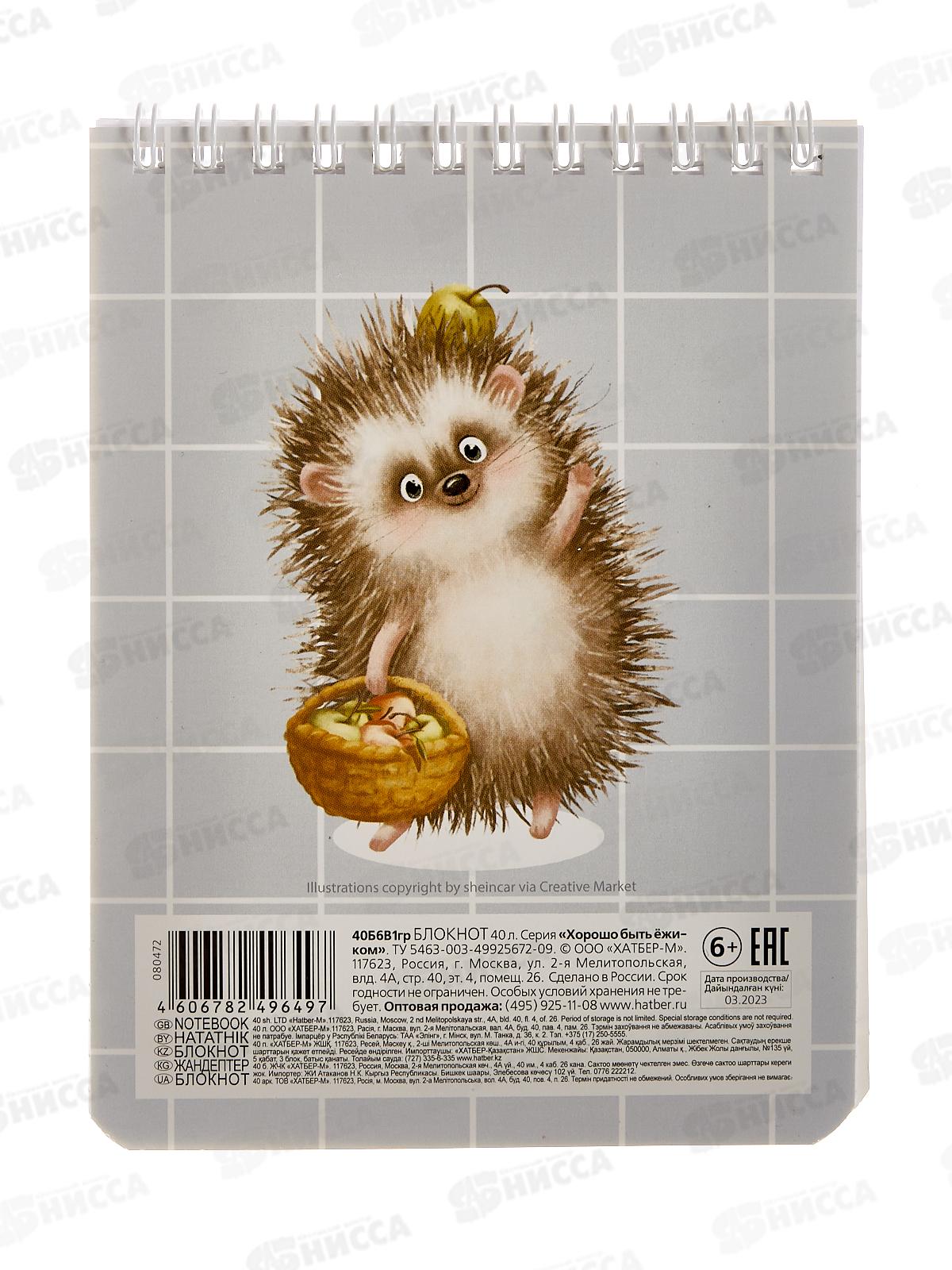 Блокнот 40л Hatber А6 Хорошо быть ёжиком *6/96