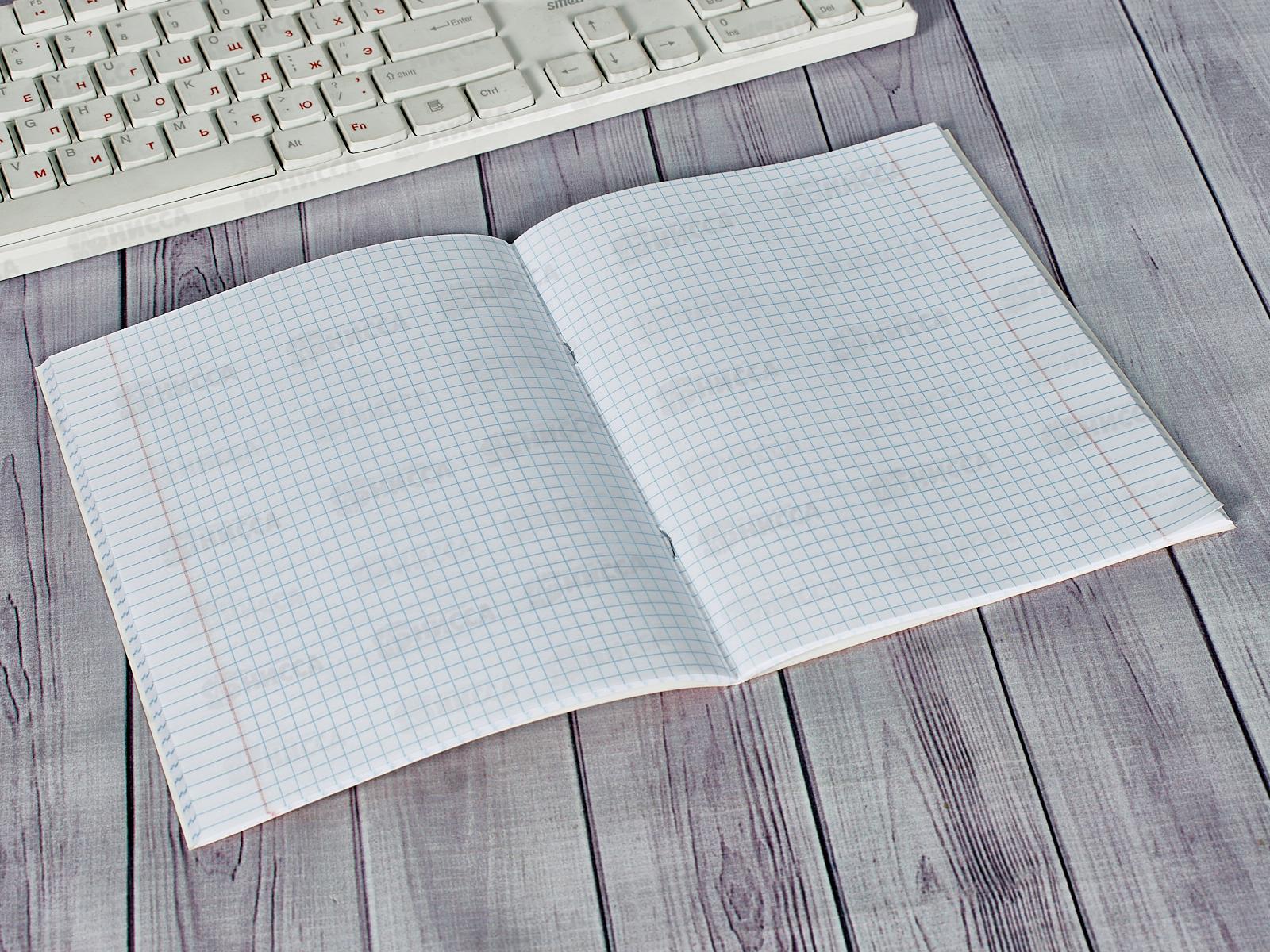 Тетрадь 48листов клетка ЭКСМ Стиляги, 5 видов ТКФ488459 *10/100