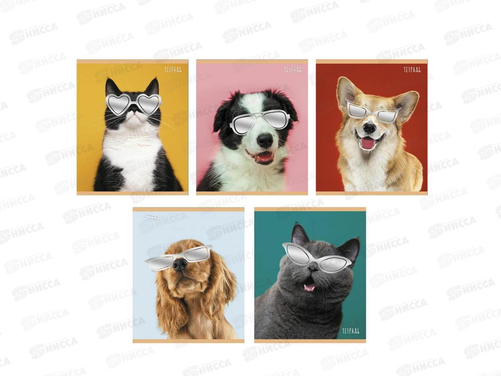 Тетрадь 48листов клетка ЭКСМ Стиляги, 5 видов ТКФ488459 *10/100