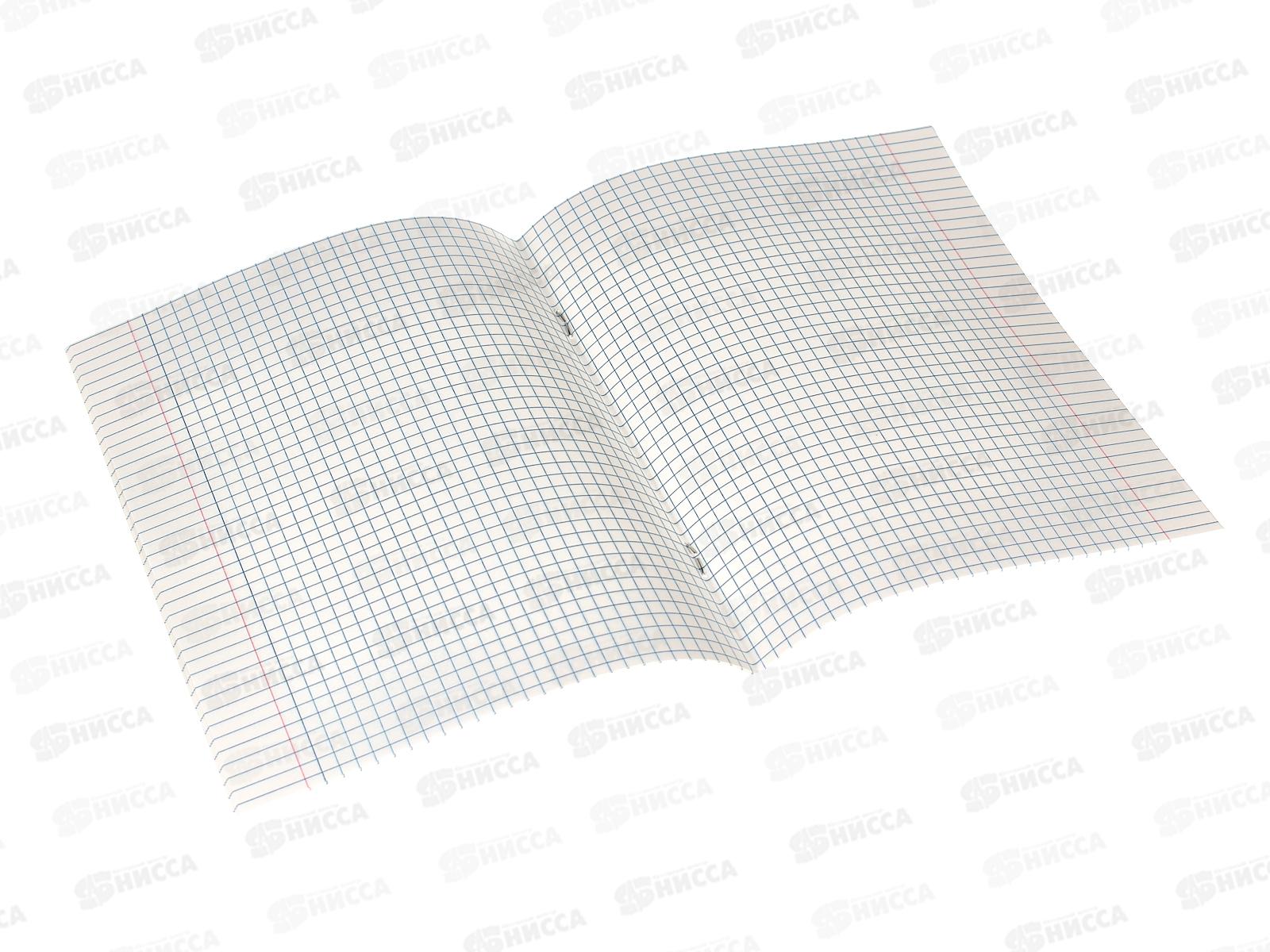 Тетрадь 18листов клетка CENTRUM Kuromi+My Melody 71824*20/120