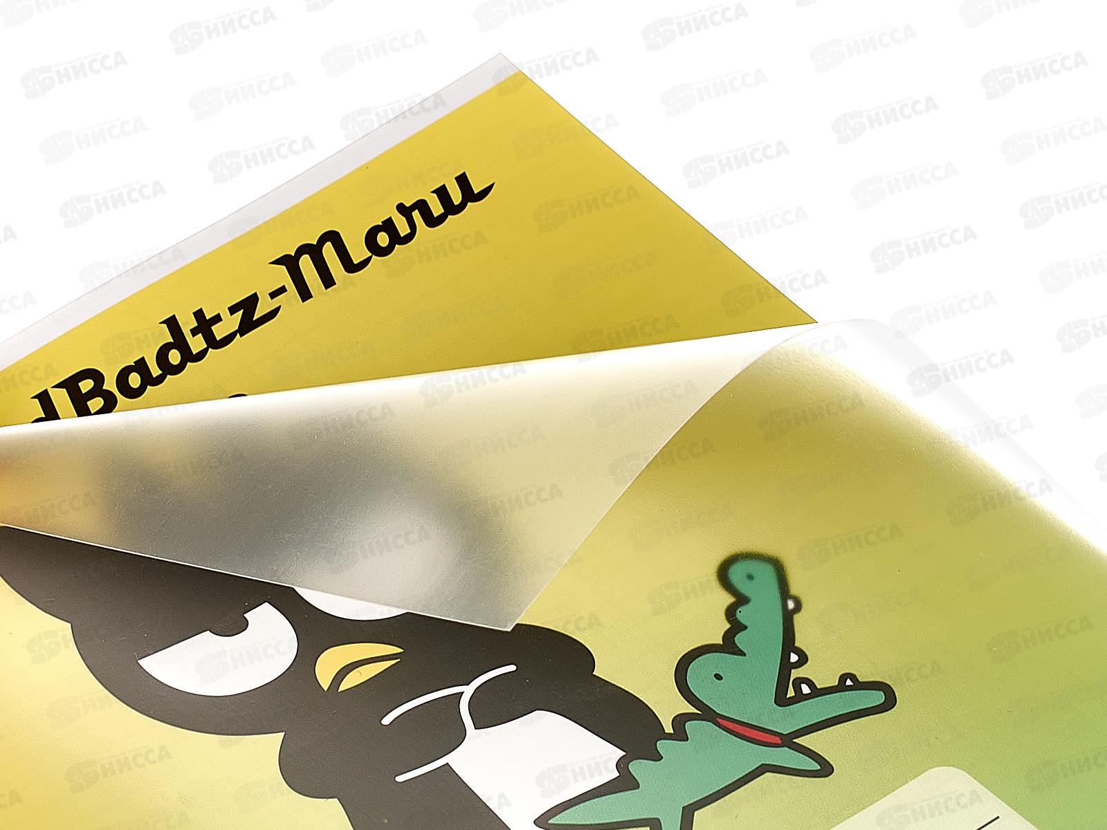 Тетрадь 18листов клетка CENTRUM Kuromi+My Melody 71824*20/120