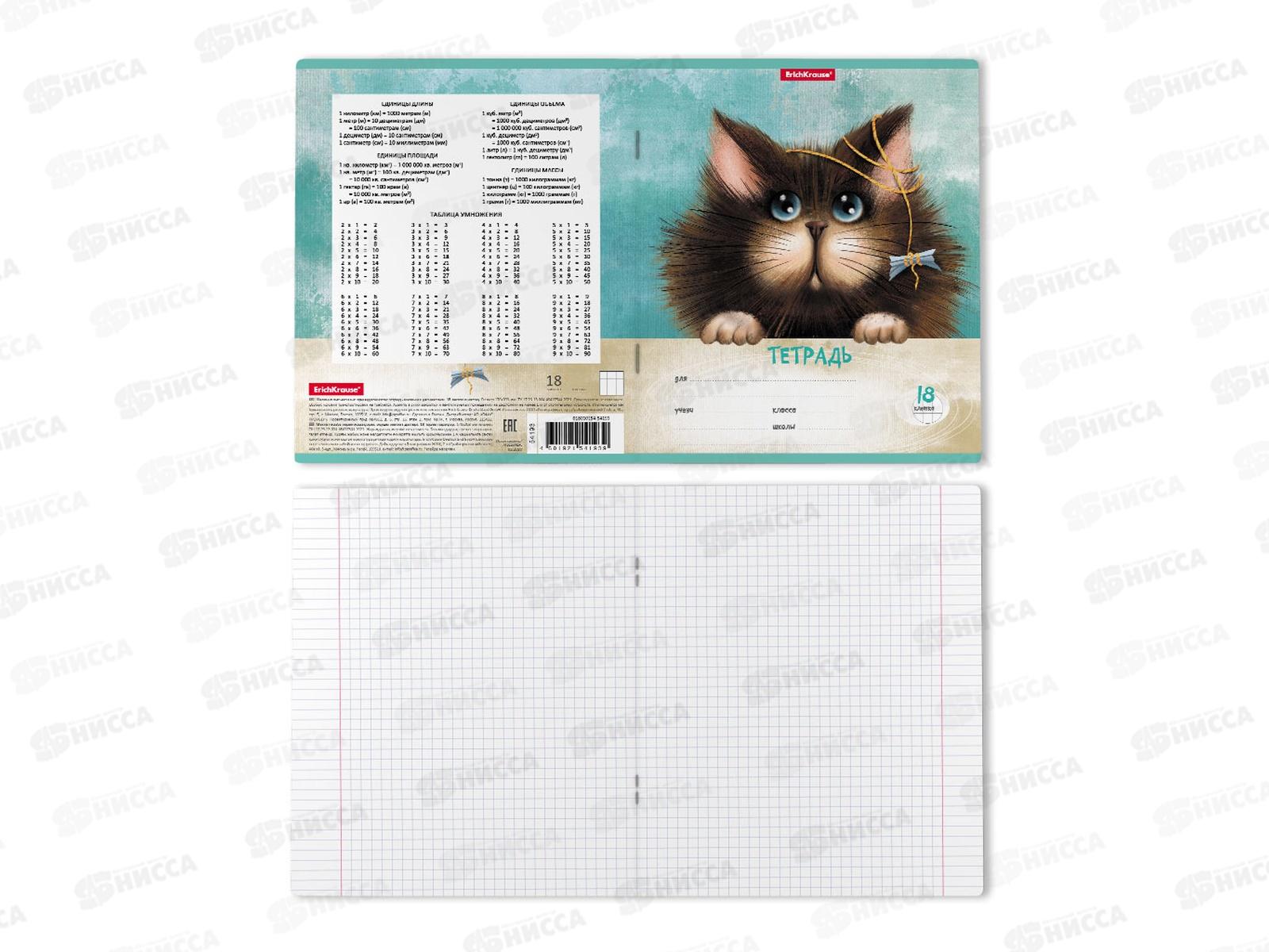 Тетрадь 18листов клетка ПОЛИ Funny, 54193 *10