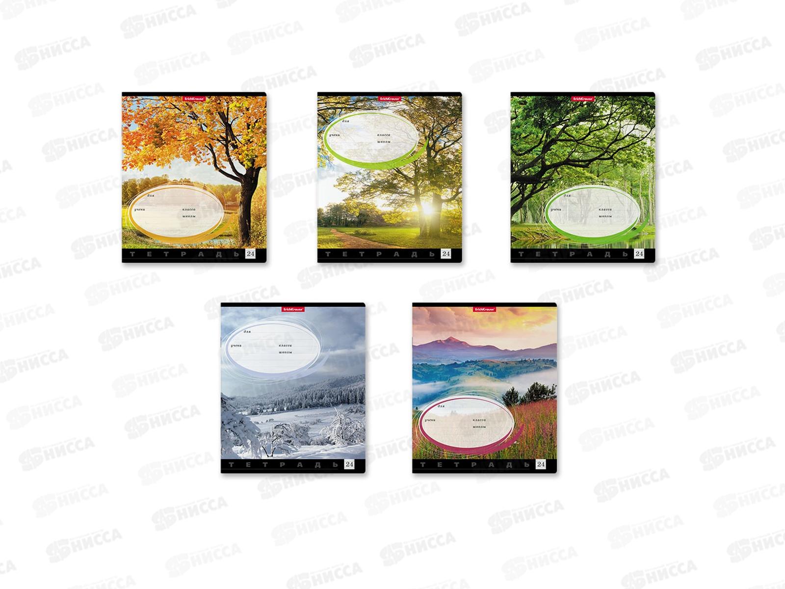 Тетрадь 24листа линия  ПОЛИ Родные просторы, 49230 *10/160